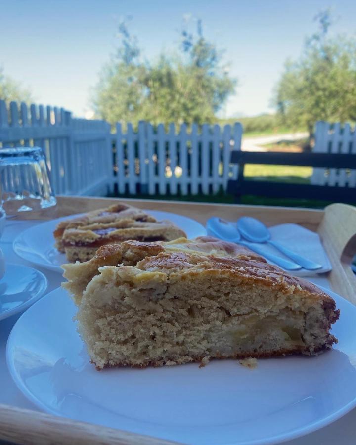 Olea B&B Montecosaro  Zewnętrze zdjęcie