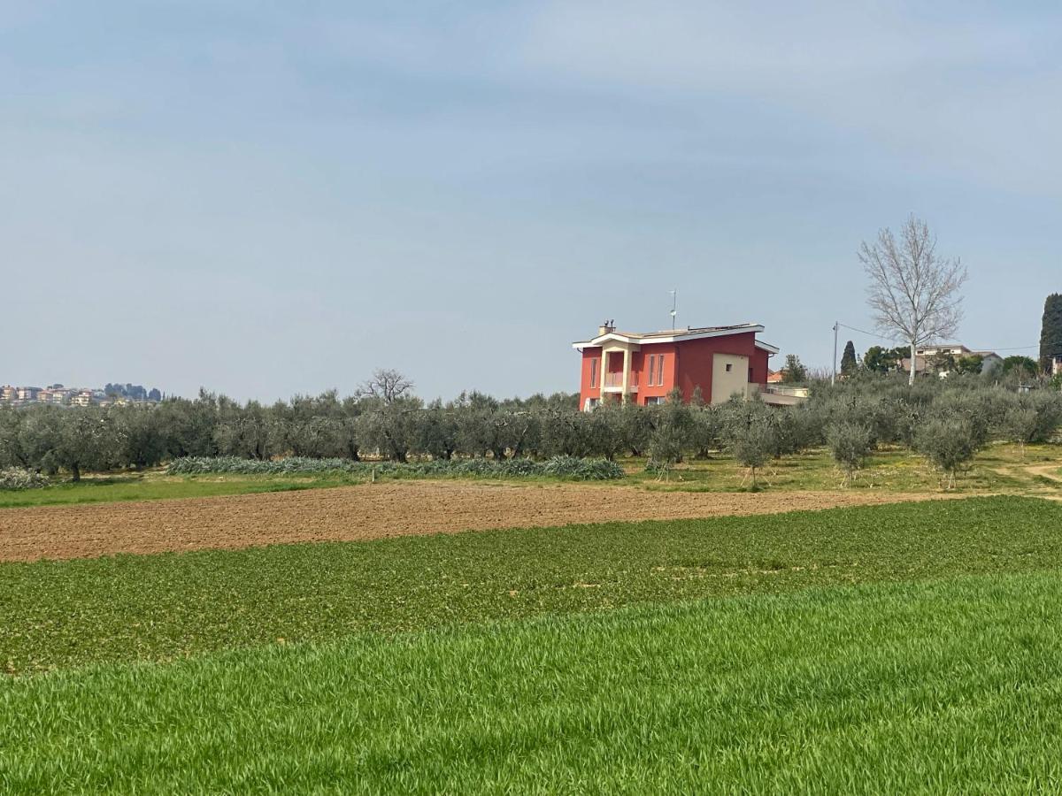 Olea B&B Montecosaro  Zewnętrze zdjęcie
