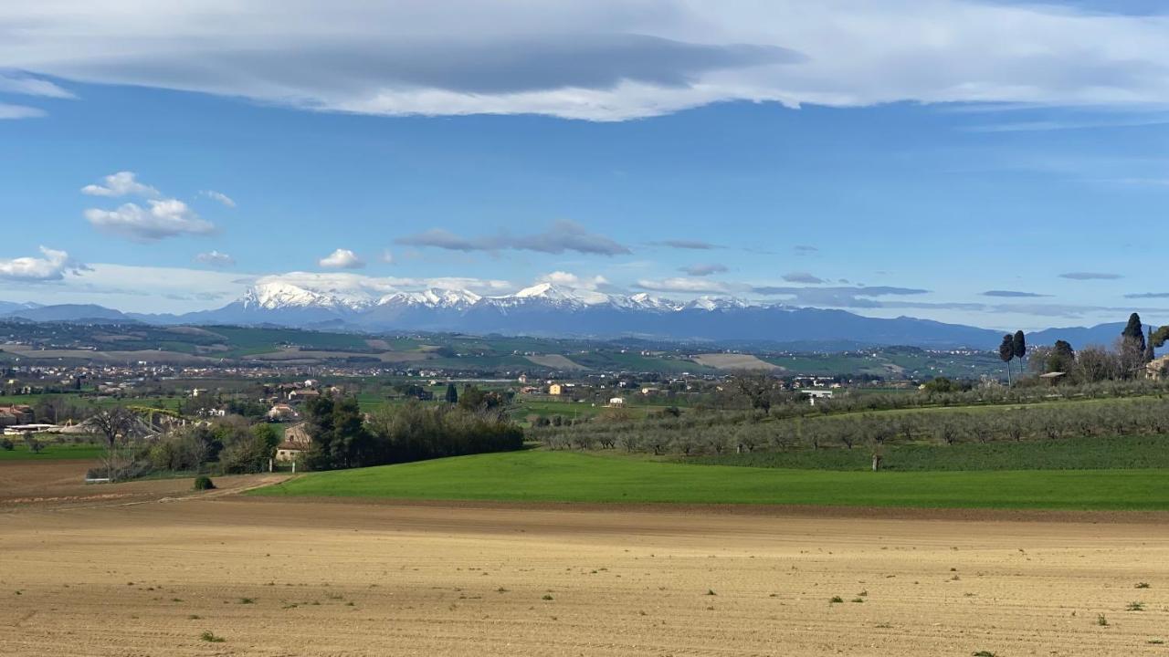 Olea B&B Montecosaro  Zewnętrze zdjęcie